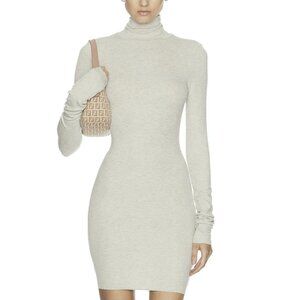 Eterne Long Sleeve Turtleneck Mini Dress XS in Oatmeal